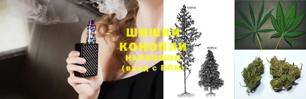 прущие грибы Алексин