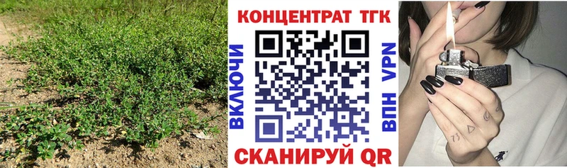 ТГК жижа дарнет шоп Пугачёв