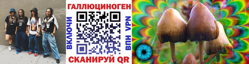 Псилоцибиновые грибы прущие грибы  купить наркоту  Пугачёв 