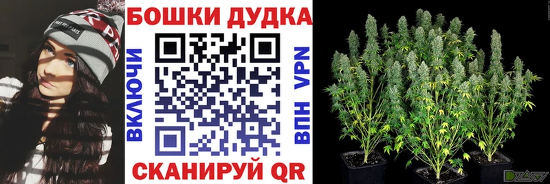 Конопля гибрид  купить наркотик  Пугачёв 